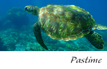 Pastime